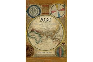 2030 The Age of Economic Turbulence and Global Disparity