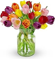 Benchmark Bouquets - 20 Stem Rainbow Tulips (Glass Vase Included) - Fresh Flowers for Delivery - Gift for Graduation, Birthda