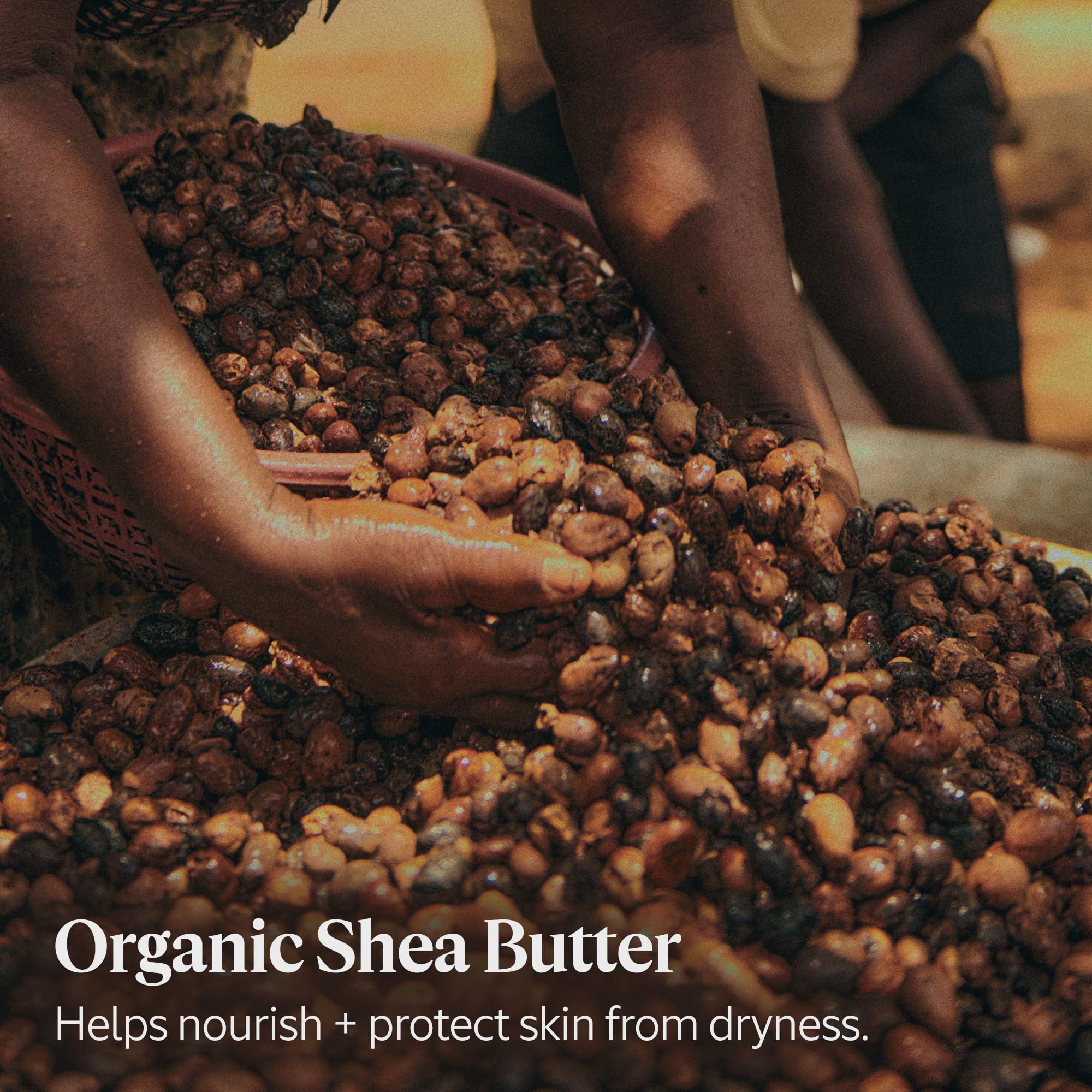 L'Occitane 5% Organic Shea Butter Lightweight Comforting Face Cream, Moisturizes, Hydrates & Soothes Sensitive Skin, Non-Comedogenic, Vegan Skincare