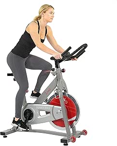sunny health & fitness mini exercise bike