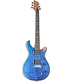 Amazon.com: PRS Paul Reed Smith SE Santana Electric Guitar with