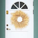 Yukiyi 100 Stems Dried Wheat Flowers Sheaves 40cm Natural Ear of Grain view 3