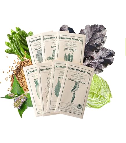 tomato様 Tomato, Sunpeach Hybrid , Cherry/Grape Tomato Seeds: Totally