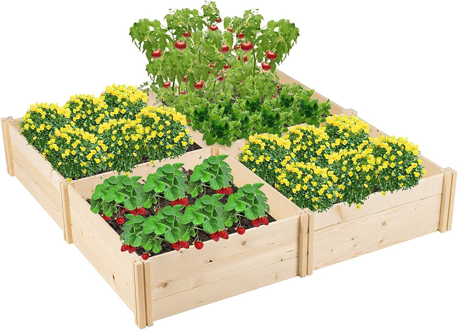 Discount Solaura Raised Garden Bed Wooden Raised Planter Kit Outdoor Diy Garden Box For Vegetables Flowers Organic Herbs Diy Gardening Natural Kitchen Dining The Most Fashionable Www Vertexfit Com Discount Solaura Raised Garden Bed Wooden Raised Planter Kit Outdoor Diy Garden Box For Vegetables Flowers Organic Herbs Diy Gardening Natural Kitchen Dining The Most Fashionable Www Vertexfit Com