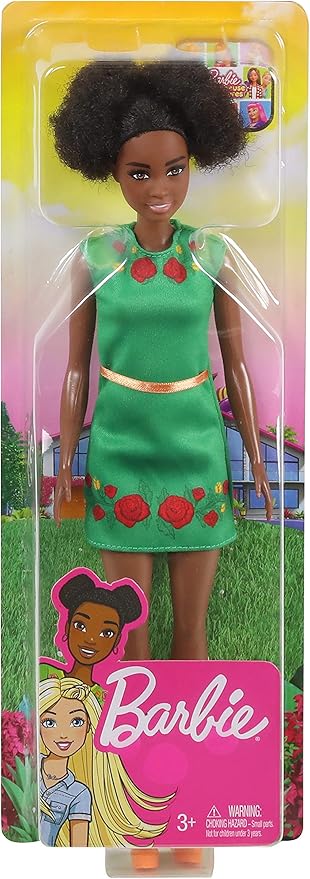 barbie life in the dreamhouse costume