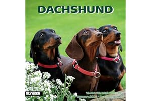 BLYYIEER 2026 Wall Calendar,Dachshund Wall Calendar, 12" x 24" Open,Family Planner Calendar Organizer with Dachshund Images, for Dogs Lovers