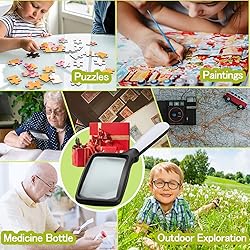 Magnifying Glass with Light, Folding Handheld 3X