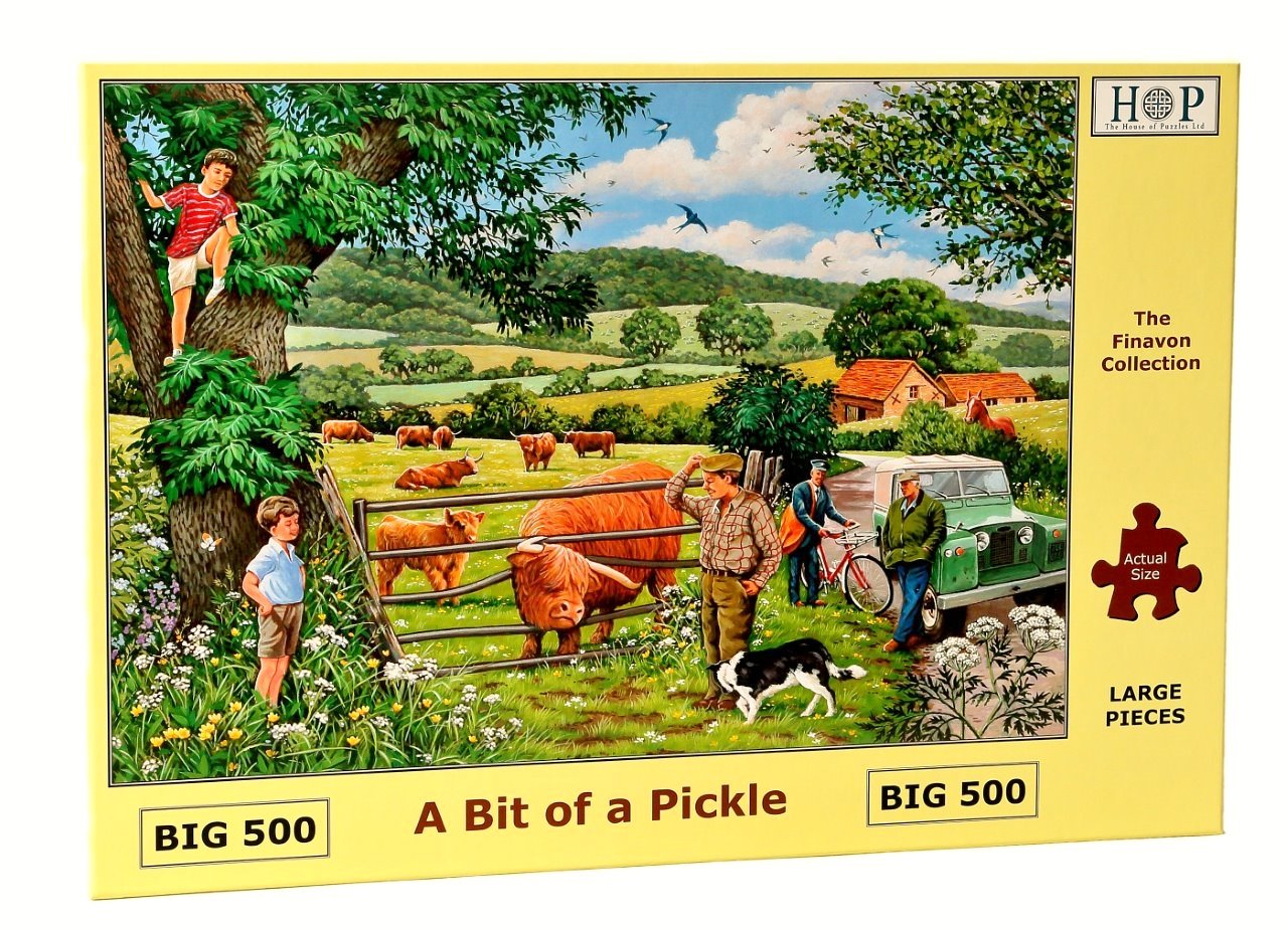 Big 500 Pieces House of Puzzles Jigsaw Puzzle A Bit of A Pickle New Spielzeug Puzzles gredevel.fr