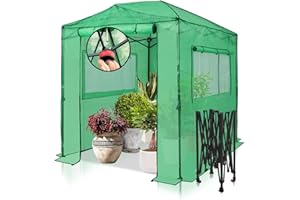 EAGLE PEAK Instant Pop-up Greenhouse, Indoor Outdoor Plant Gardening Green House, Roll-Up Zipper Doors and Side Windows, Walk in 8x6 ft, PE Cover, Green/Clear