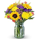 Benchmark Bouquets - Flowering Fields Sunflower Bouquet - Fresh Flowers for Delivery - Real Flowers in a Vase - Birthday Flowers for Women - Congratulations Gift (Glass Vase Included)