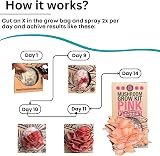 Smart Mushrooms Blue Oyster XL Growing Kit - 14 Day Harvest, Growth Guaranteed view 4