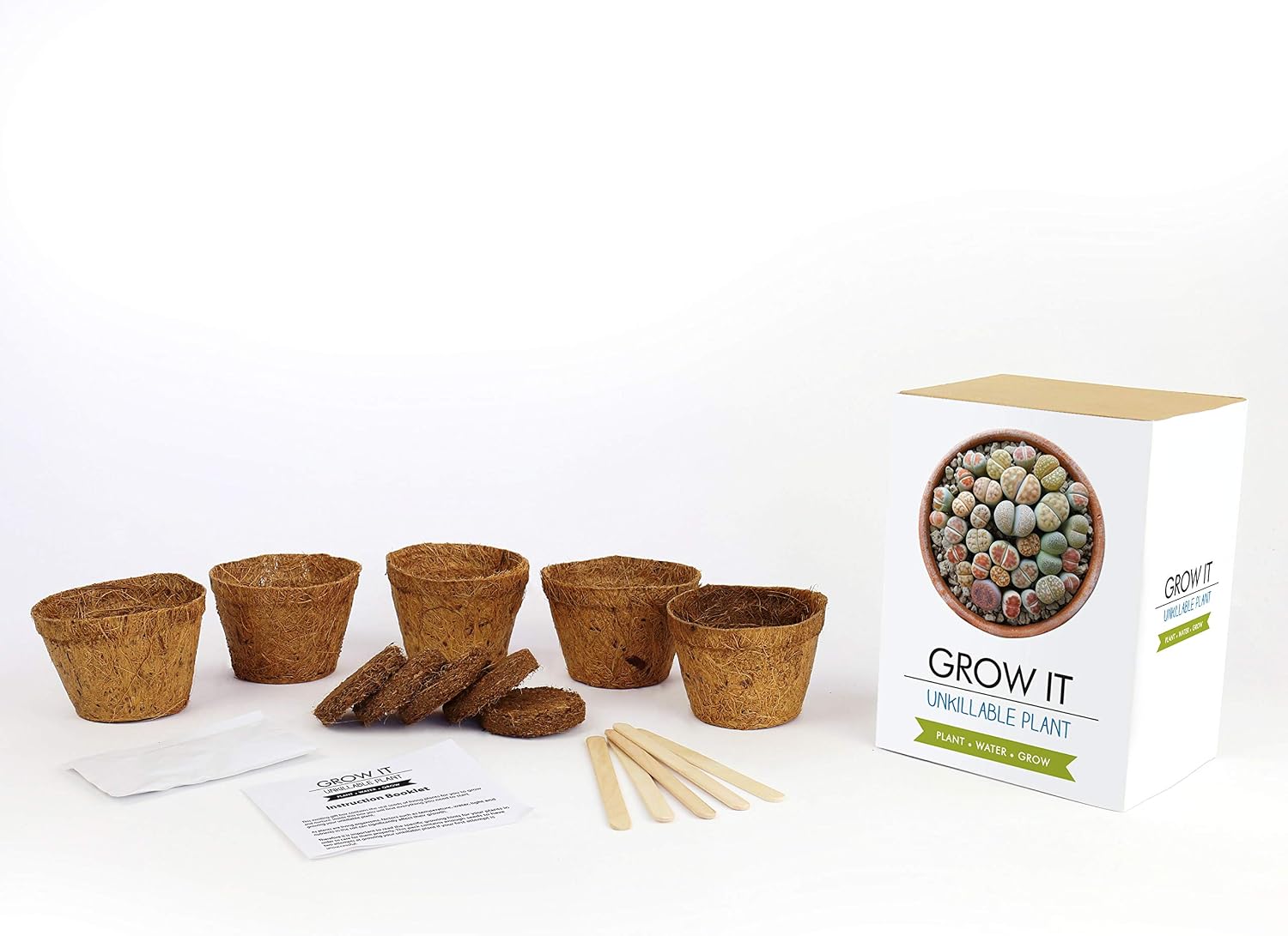 Gift Republic Grow Your Own Living Stone Plant Grow It Unkillable Plant Gift Set Succulent Plant Lithops Plant Seeds - Image 4