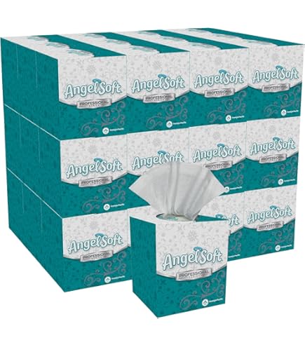 Amazon.com: Angel Soft Georgia Pacific 46580CT Premium