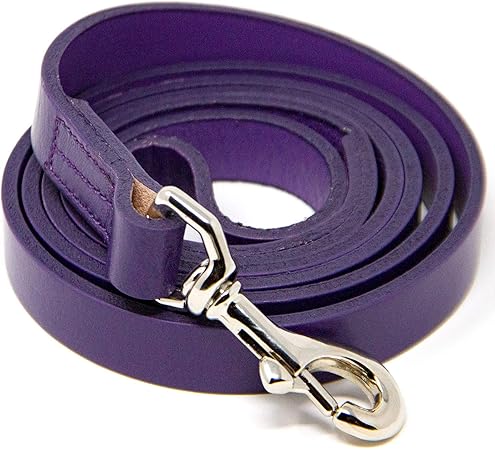 logical leather dog leash