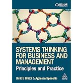 Systems Thinking for Business and Management: Principles and Practice