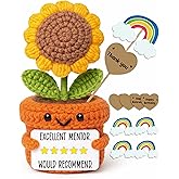 Frabaca Funny Christmas Mentor Gift for Women Men - Positive Crochet Sunflower Plant Plush - Teacher Appreciation Thank You Desk Decor for Her or Him