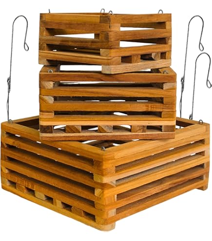 Wensdr Lot De 12 Pots À Orchidée Transparents En Plastique Respirant Pour Intérieur Et Extérieur