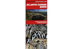 Atlantic Canada Birds