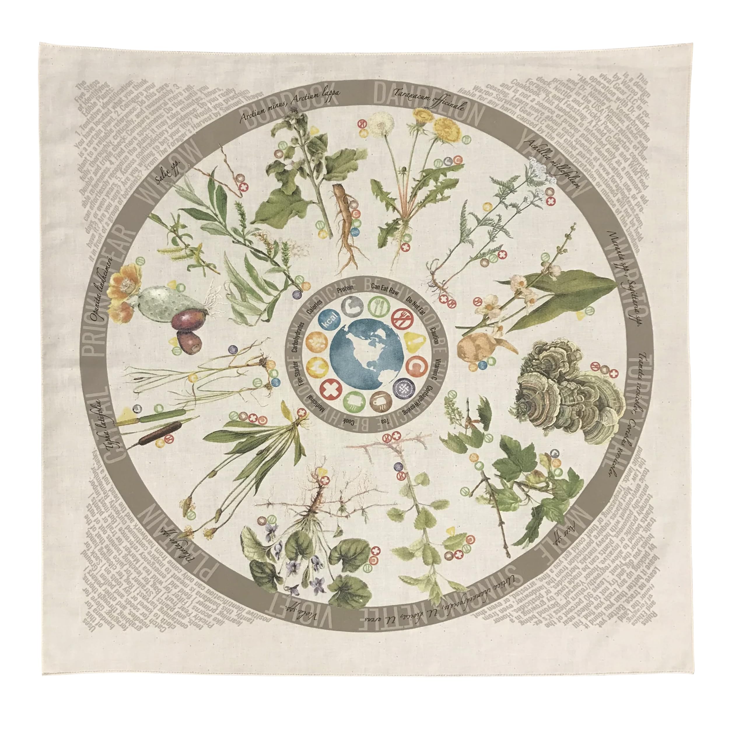 Foraging Plant Bandana | 12 Common Edible, Medicinal, and Useful North American Plants, Trees, and Fungus Found in Nature | 100% Cotton Bandana | MADE IN USA!