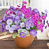HyeFlora Artificial Flowers for Outdoors Dahlia Spring Summer Decoration, 6 Bundles Fake Daisy Faux Plants Realistic UV Resistant Silk Flowers for Outside Planter Front Door Yard Garden Home Home, Mix