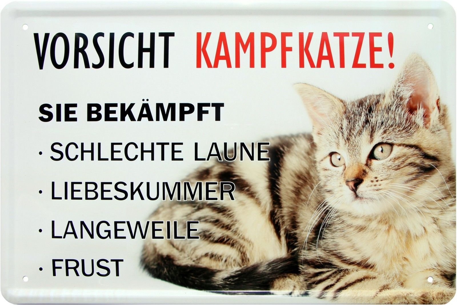 496 Tin Sign with Beware of the Battle Cat, She Combats Bad Mood, Frust, 20 x 30 cm