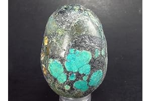 Genuine Turquoise Egg From Sleeping Beauty Arizona - 1.8"