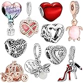 WANIUS 10 Pack Silver Charms for Pandora Bracelets and Necklaces Charms for Women CZ Pendant Jewelry Charm Set