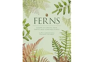 Ferns: Lessons in Survival From Earth’s Most Adaptable Plants