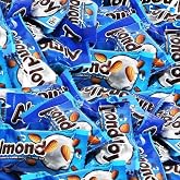 Crunchy Almond Coconut Filled Chocolate Fun Size Bars Bulk-1.5 lbs | Individually Wrapped, Perfect for Gifting, Sharing, Savoring(24 oz)