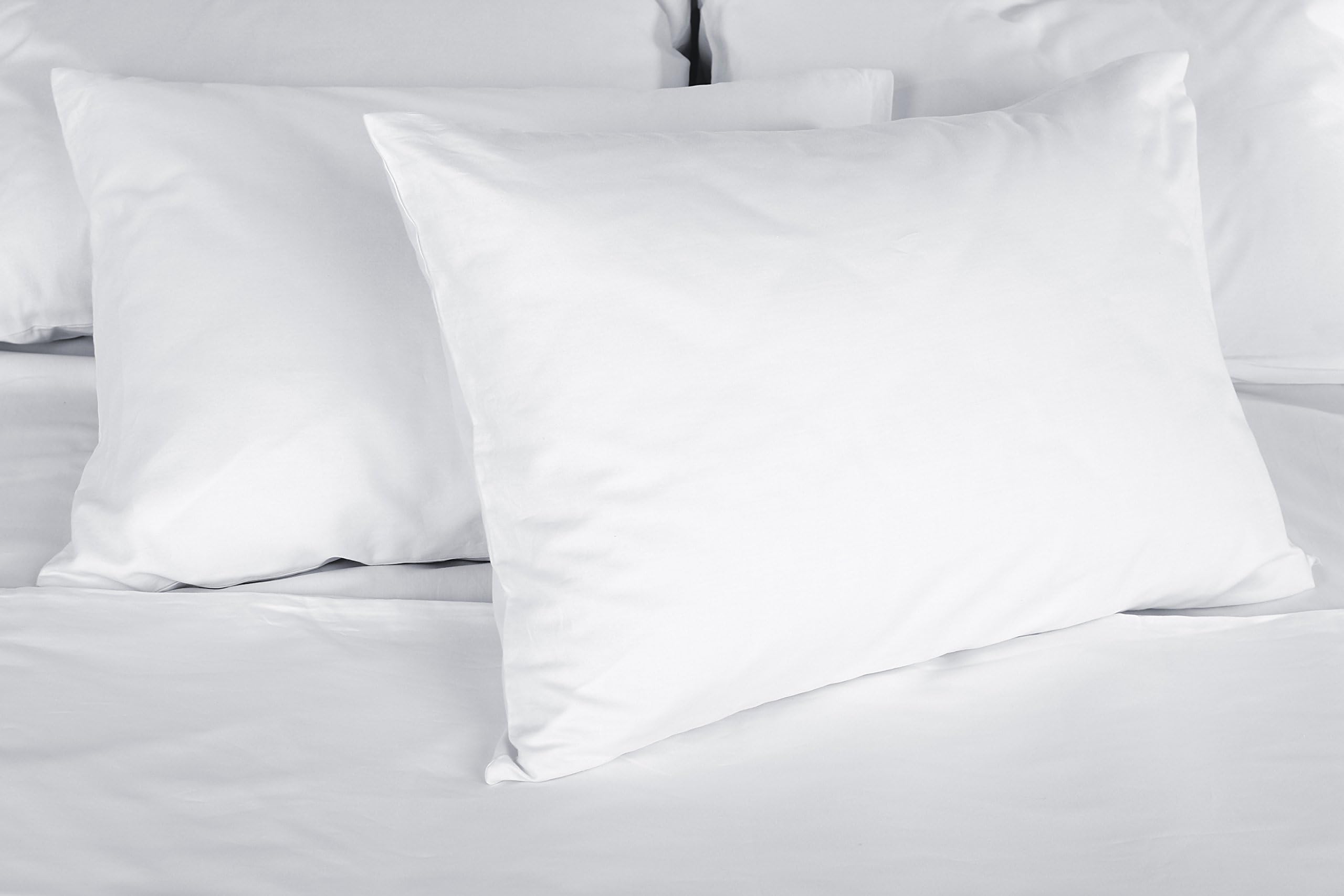 Continental BeddingP1090-2-CB Bed Pillow, Queen, White 2 Count