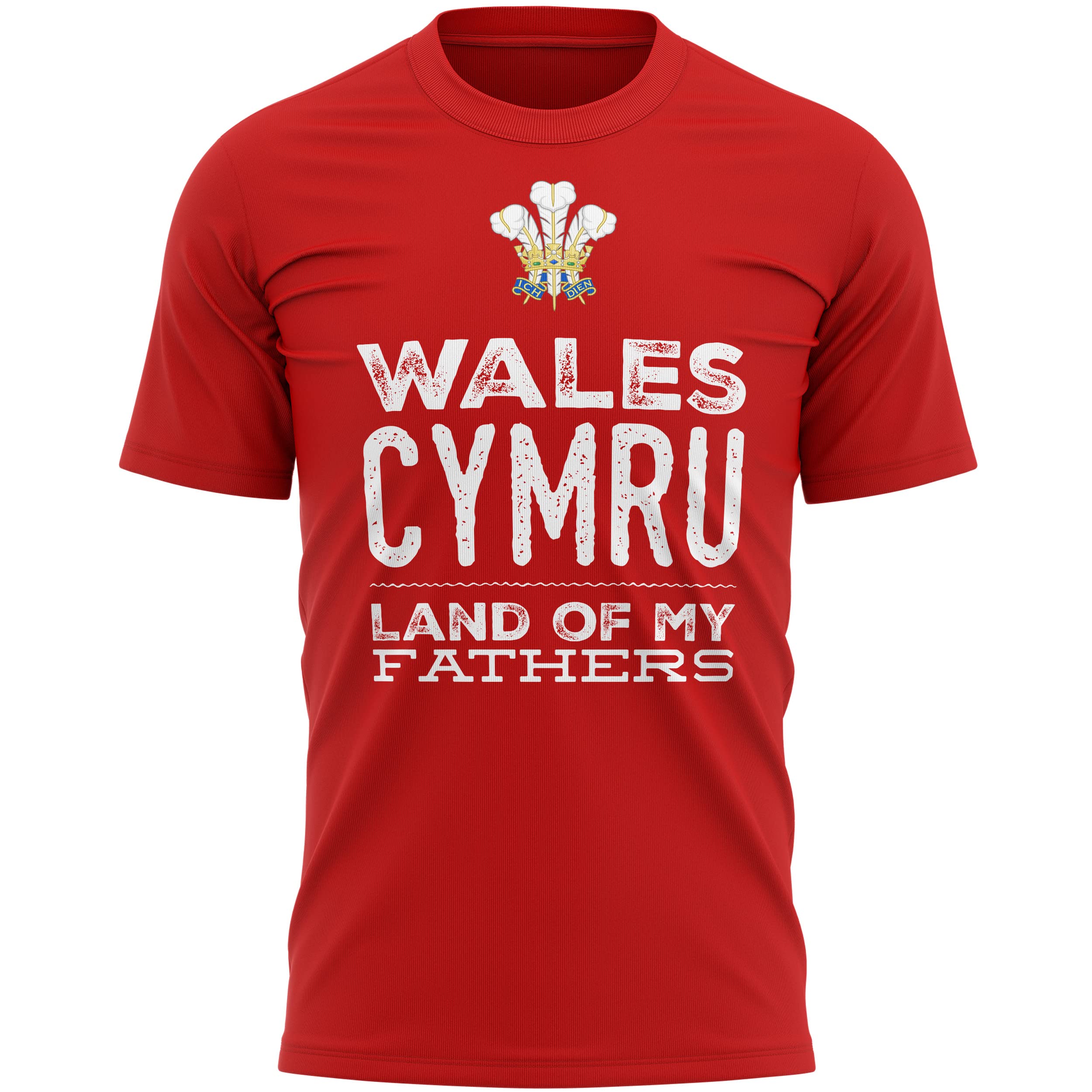 Wales Cymru Land of My Fathers Mens T Shirt, Wales Rugby Gifts, Welsh Gift, Welsh Rugby Tee, Wales Present for Him Her, XL, Red