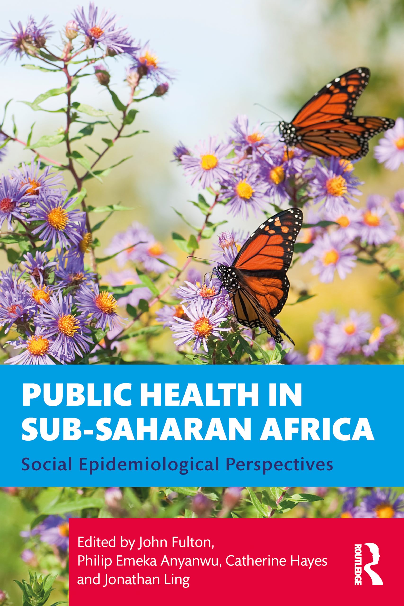 Public Health In Sub Saharan Africa