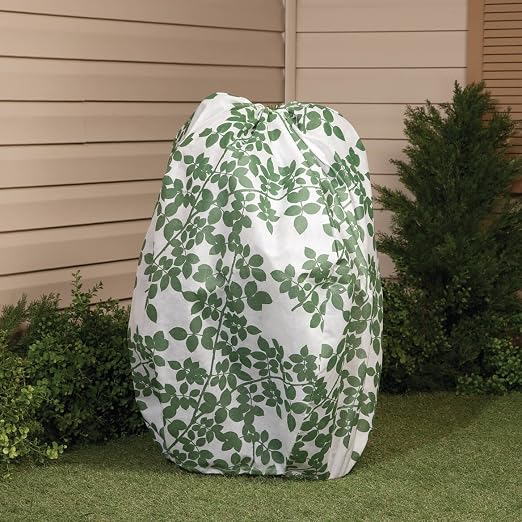 Arbusto chaqueta: Amazon.es: Jardín