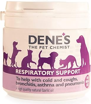 dwarf bunnies for sale at petco