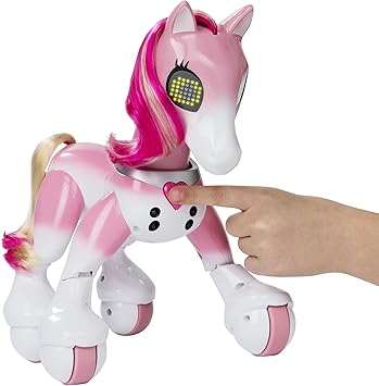 zoomer show pony smyths