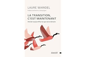 La transition, c'est maintenant: Choisir aujourd'hui ce que sera demain (French Edition)