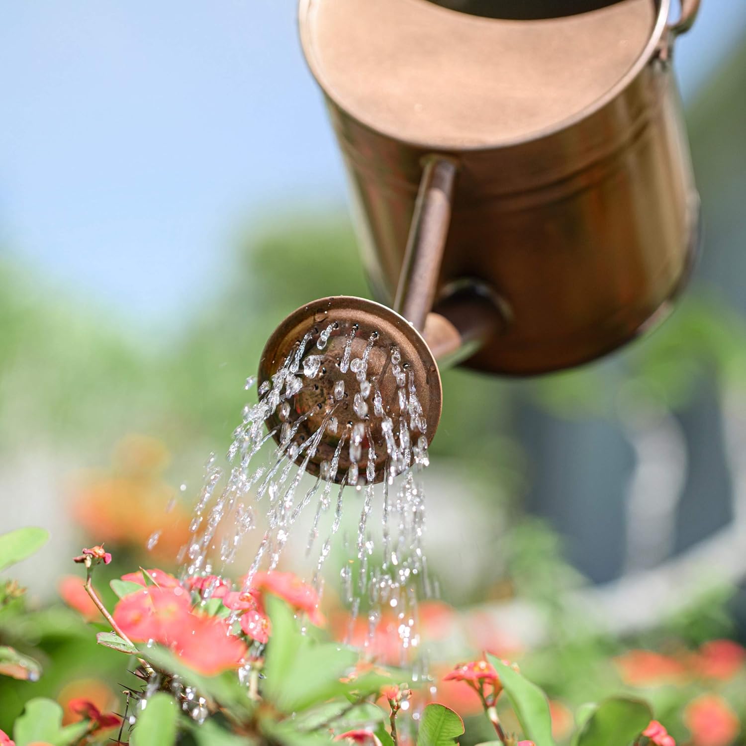 Homarden Half Gallon Copper Colored Metal Indoor Outdoor Plant Watering Can for House Plants with Removable Spout, 80oz : Garden & Outdoor