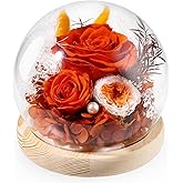 FIACO Preserved Rose Birthday Gift for Women Forever Fresh Flowers for Prime Delivery Gift for Mom Grandma Wife Valentines Mothers Day Christmas Anniversary Eternal Roses in Glass Dome