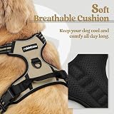 rabbitgoo Dog Harness Medium No Pull 2 Leash Clips Reflective Adjustable view 3