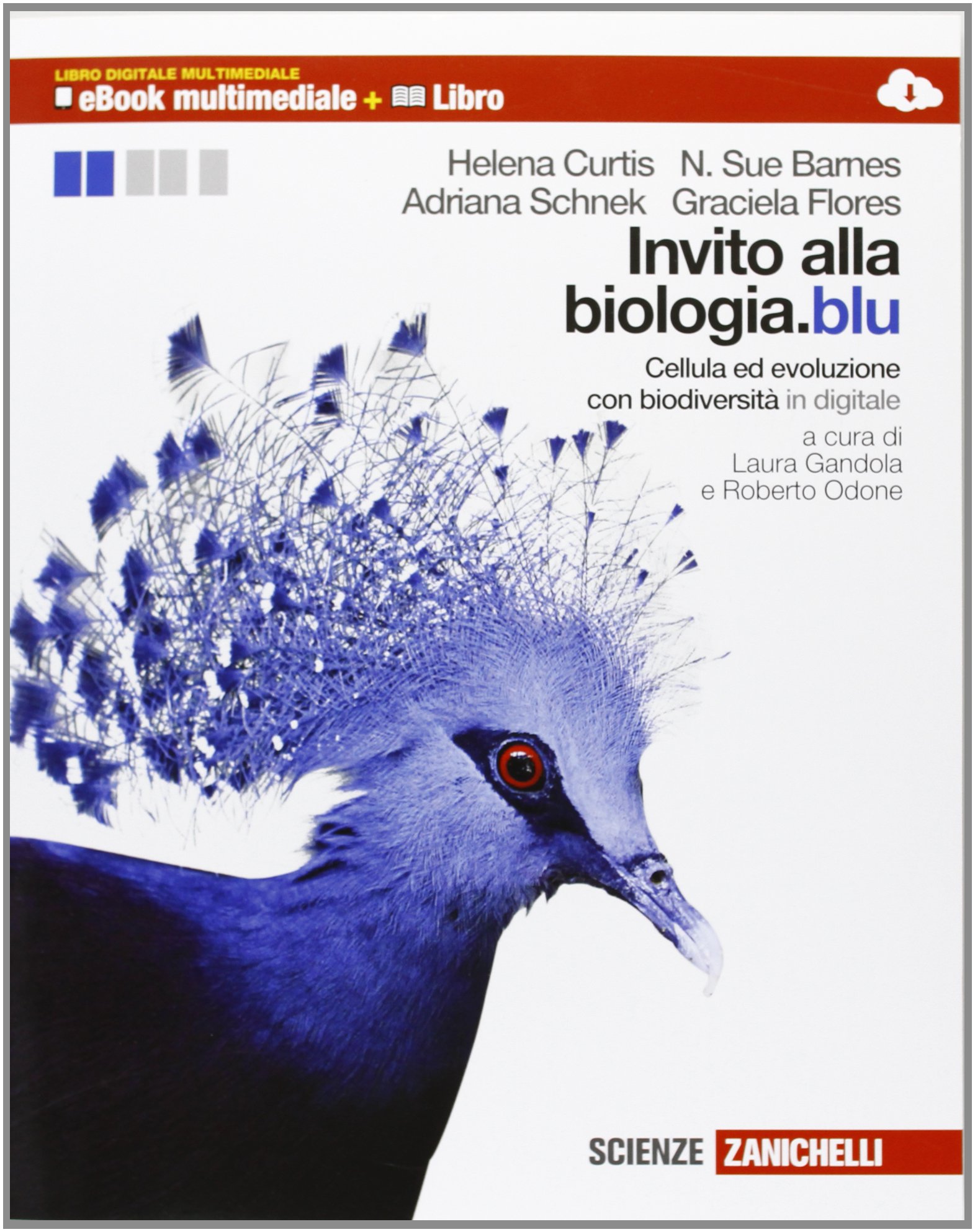 Invito Alla Biologiablu Cellula Ed Evoluzione Biodiversità