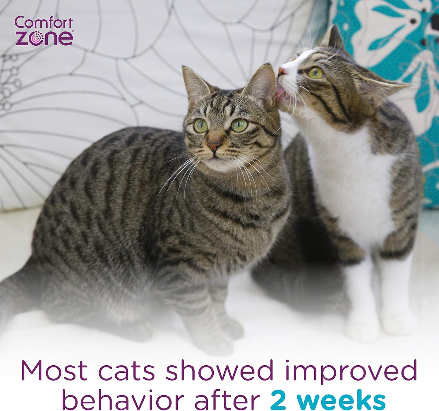 Comfort Zone Multicat Calming Diffuser Refill, 48 ml-2 Pack, 60 Day Use : Pet Supplies