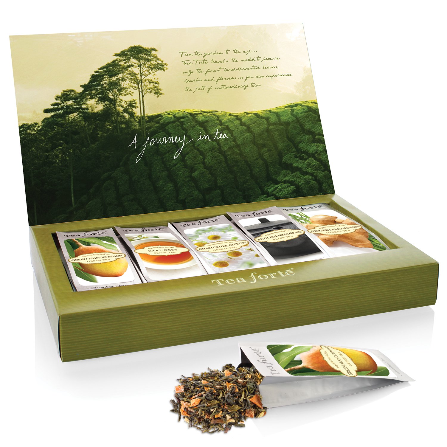 Tea Forte Organic Classic Tea Sampler, Single Steeps Loose Leaf Tea Gift Box Variety Pack of 15 Single Serve Pouches with Green Tea, Herbal Tea and Black Tea : Grocery Tea Sampler : Grocery & Gourmet Food