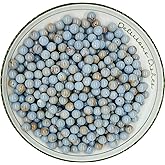 WHNKFB 8mm 50PCS Natural Blue Angelite Round Beads, Celestial Blue Loose Gemstone Beads for Jewelry Making Craft - 6mm 8mm 10mm Options with Free Elastic Cord