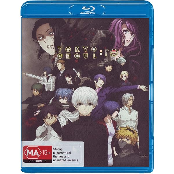 Amazon.com: Type-Moon Fes -10Th Anniversary Blu-Ray Disc Box (4BDS