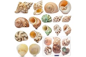 Deauepu® Natural Hermit Crab Shells 16PCS (8 Types) | Opening Size: 0.5"-1.6", Seashell Size: 1.5"-3.5" | Good for Tiny-Large Crabs | No Paint or Dye…