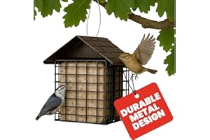 Stokes Select Double Suet Bird Feeder with Metal Roof, Two Suet Capacity