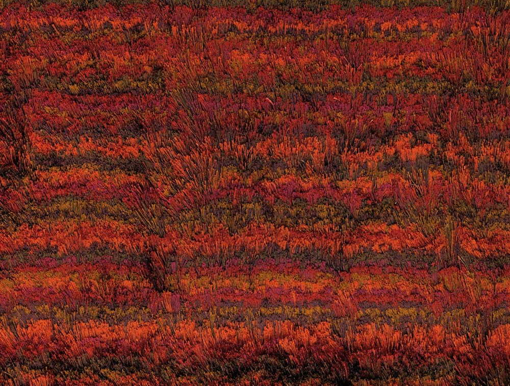 SITAP RUG MODEL ZARA RUST SIZE 200X300