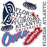 Desert Cactus Florida Atlantic University Sticker Florida Atlantic Owls Vinyl Decal Laptop Water Bottle Car Scrapbook Sheet (Type 2-3)