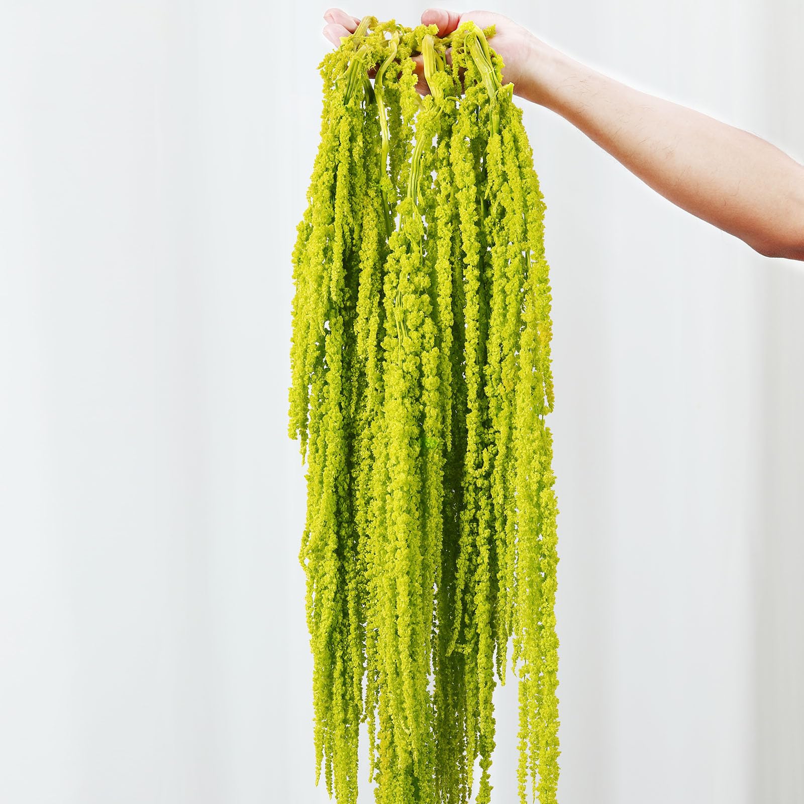 Photo 1 of 5Pcs Dried Amaranthus Hanging Flowers, 23" Neon Green Preserved Natural Wisteria for Wedding Arch, Fall Thanksgiving, Table Centerpiece, Wall Hanging Lover Tears, Floral Arrangement, Farmhouse Decor