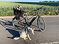 Marcus´ Weidenhandel Hundefahrradkorb XXL - Weidenkorb Mit Metallgitter Für Gepäckträger